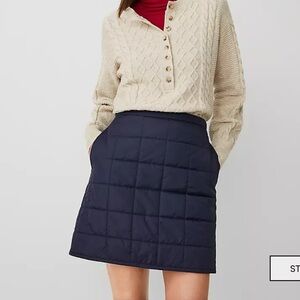 Ann Taylor Navy Quilted Skirt New
